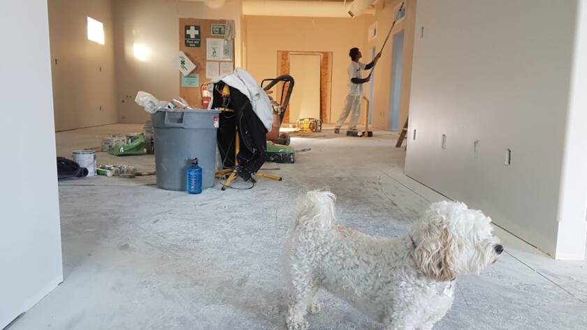 home renovation ideas brisbane