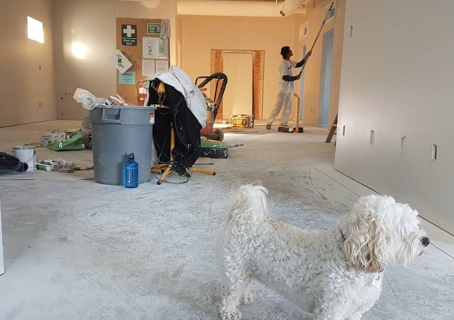 home renovation ideas brisbane