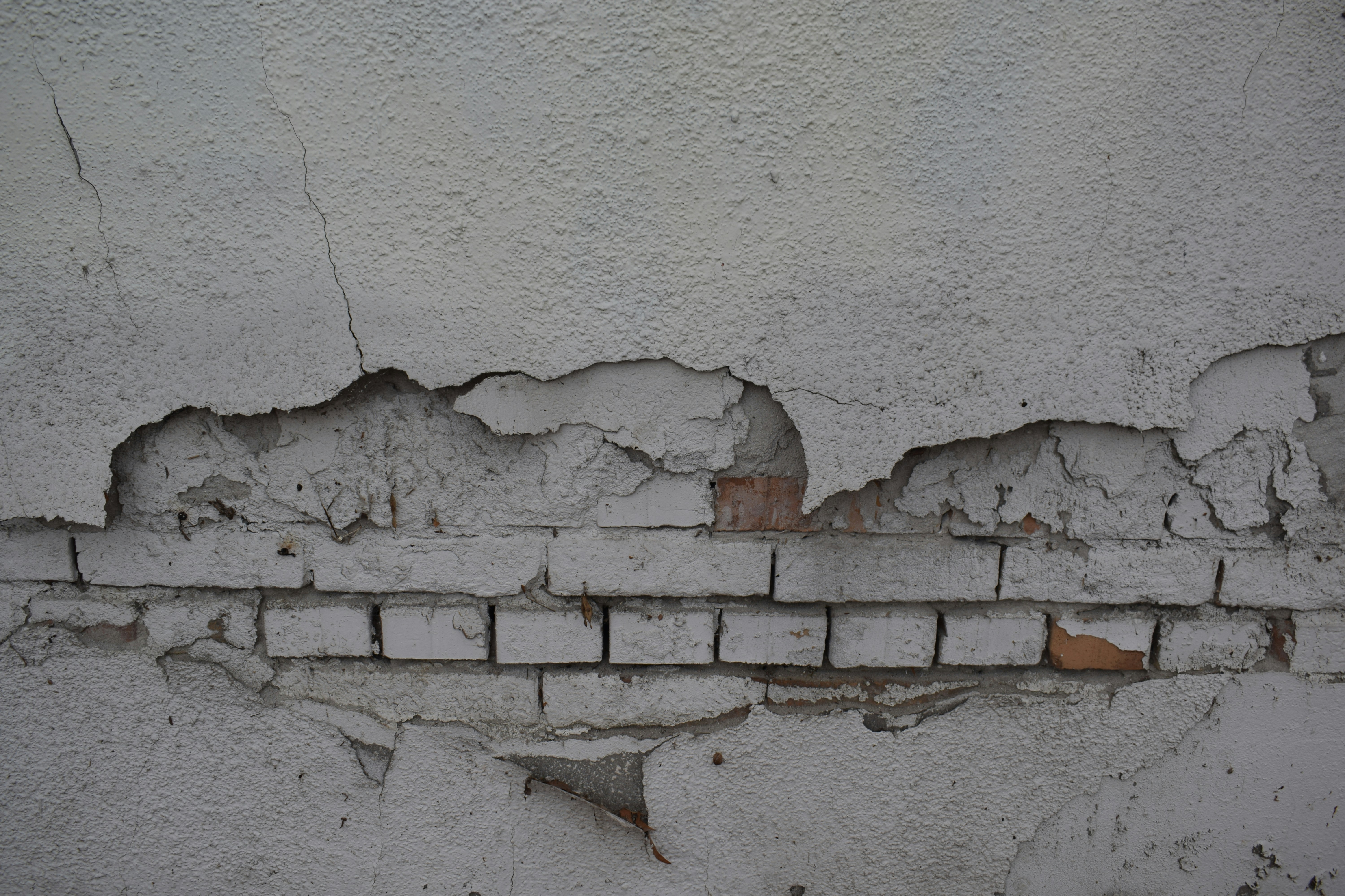 Expert Home Renovation Tips