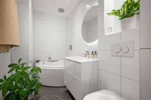 Eco-Friendly Bathroom Renovations 
