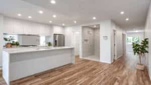 Full Home Renovation